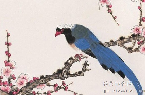 结婚两瓶酒如何绑教程 重点是不能打结