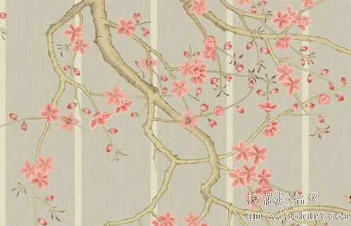 卧室下面是厨房是大凶 厨房在卧室下方影响家庭关系