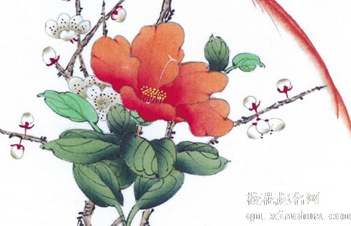 厨房适合摆放什么挂件 厨房不宜摆放大体积绿植摆件