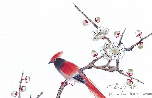 灶台只能放西边怎么办 八卦符挂炉灶旁化解灶台朝西