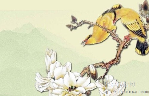 搬厨房有啥禁忌 新灶第一顿吃汤圆寓意团团圆圆