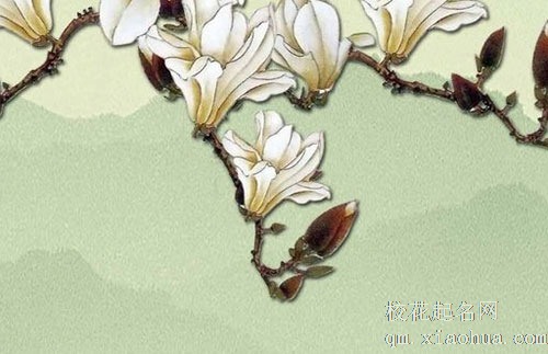 大门口放三样东西最旺 地垫放入户门可挡煞