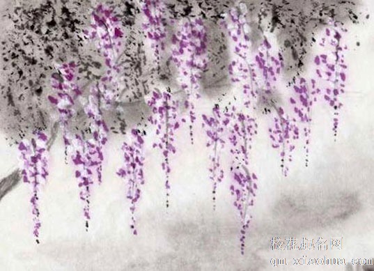 西北厨房最佳化解方案 西北角厨房影响健康运势