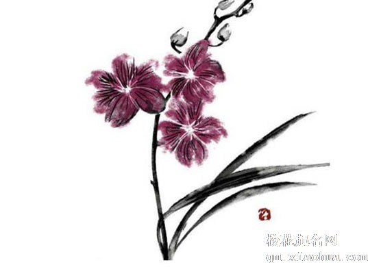 坐北朝南的房子吉位在哪 延年位为中等吉位