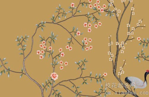 入宅不能扫地吗 搬家最忌孕妇到场