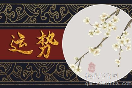 十二星座武术排名 如何解析十二星座的杀伤力