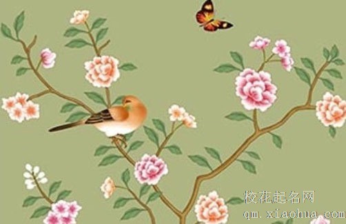 厨房最合理的布局 厨房有二个门的布局