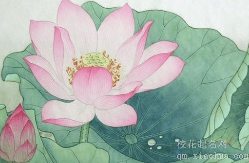 新娘进门吉祥话顺口溜 好话祝福暖人心脾