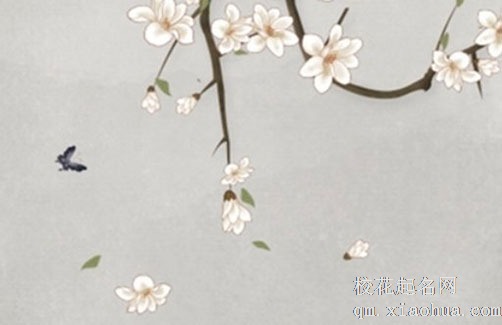 厨房最不宜的五大方位 西南方厨房易西晒