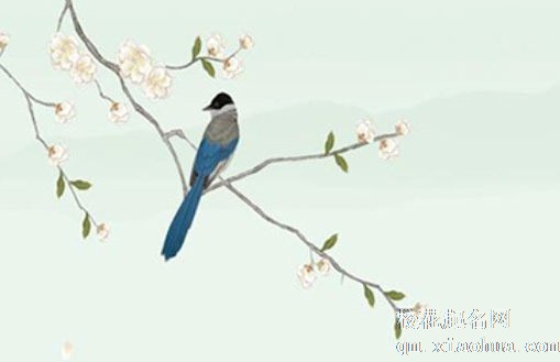 白露节气是农历几月几号 白露节气适合搬家吗