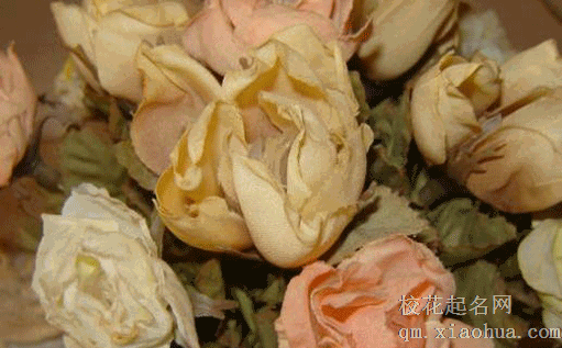 五金是在领证前还是后 买三金五金彩礼和领证的顺序