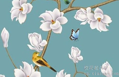 两家门对门五帝钱挂在哪里最好 正月初五挂五帝钱最好