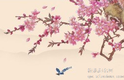 白露节气适合吃什么食物 白露节气风俗食物风俗活动盘点