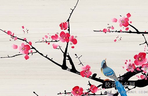 白露节气养生原则 白露节气艾灸养生知识