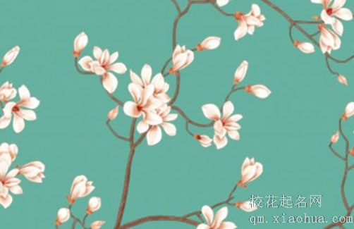 入宅来月经会不会吉利 孕妇不可参与入宅仪式