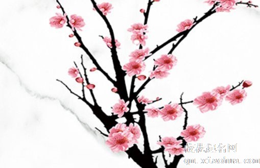 白露节气名字的由来 白露节气还有什么雅称