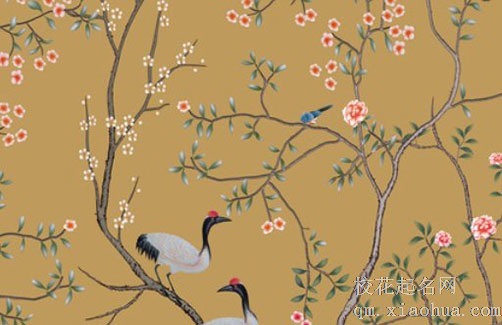 入宅不能买什么鲜花 朋友搬家送百合花好