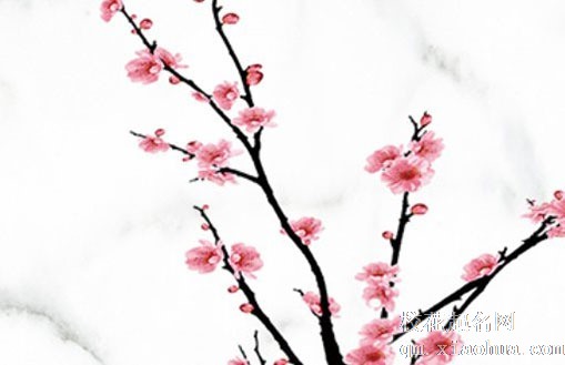 白露节气美食有哪些 白露节气北方吃什么传统食物