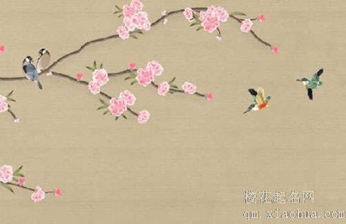 入宅披麻煞化解的方法 披麻煞不一定就会克人