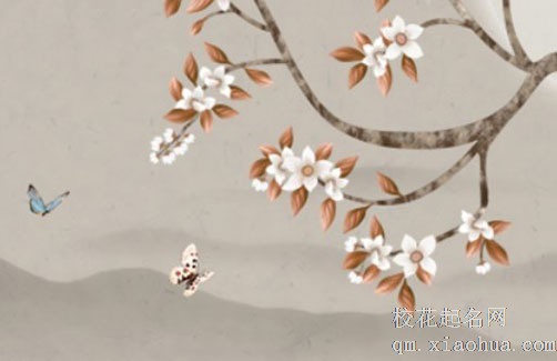 门对门五帝钱挂一个门还是两个门 五帝钱放金库可招财