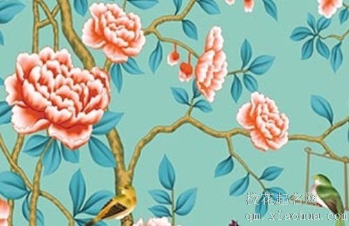 入宅前需要准备什么东西 入宅当天要拿什么东西