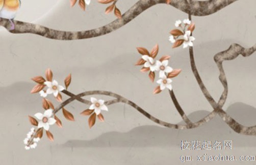 五帝钱的摆放顺序 大门对楼梯可用五帝钱化解