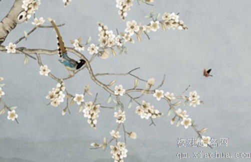 入户门口埋五帝钱 不可用墓穴出土的五帝钱