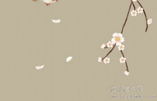 入户门对下楼梯五帝钱怎么挂 设置玄关可解大门对下楼梯