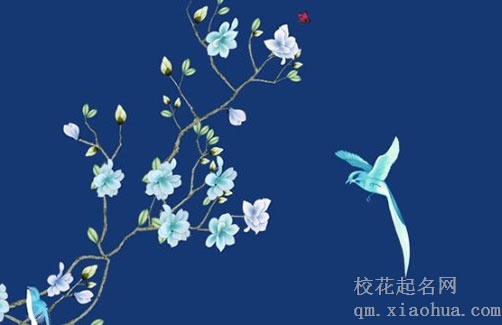 入宅主人不在家怎么办 入宅拿新被子进门寓意生活安稳