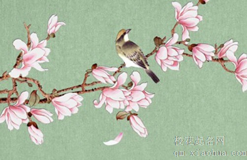 卧室门对卧室门挂什么 可用门帘化解门的冲煞