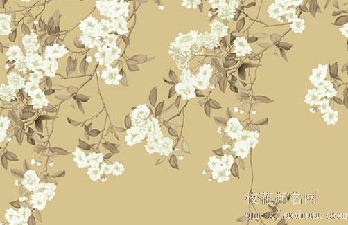 乔迁新居搬家顺序 入宅当天可以扫地