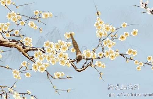 正式搬家前可以先搬一些什么 入宅进门必须要拿枕头