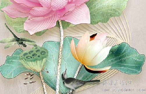 搬家进门需要拿什么东西 搬家进门的先后顺序