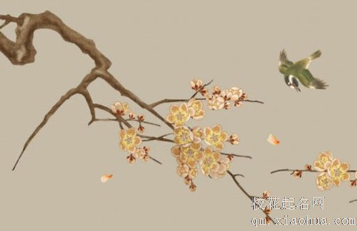 入宅谁先进门 入宅第一件进门的东西