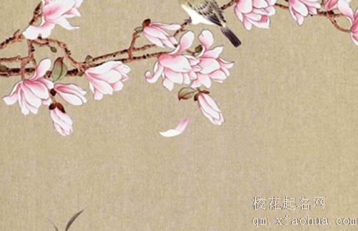 五帝钱挂在什么位置 汽车挂五帝钱可保平安