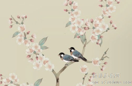 五帝钱门对门挂法图 门冲不需要两个门都挂五帝钱