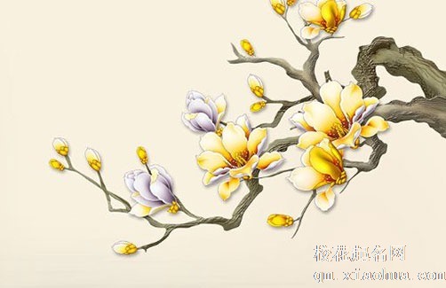 注定二胎生女儿的生肖 二胎女娃给母亲添福添寿