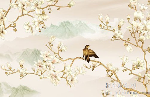 滴水观音放客厅哪个位置 家里养滴水观音可招财