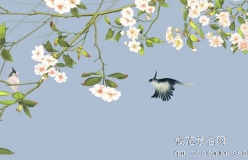 家里养滴水观音好不好 卧室放滴水观音可招桃花