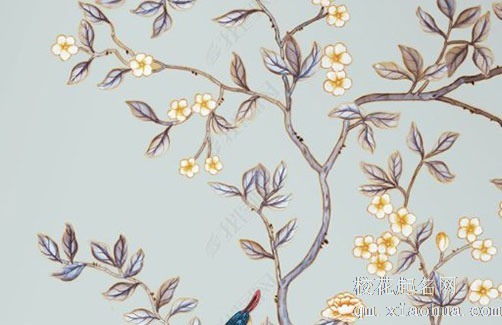 客厅养滴水观音好不好 卧室不宜摆放滴水观音