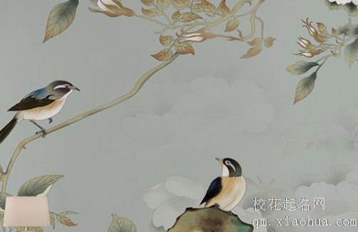 滴水观音不宜放在哪里 养滴水观音需及时清理腐叶