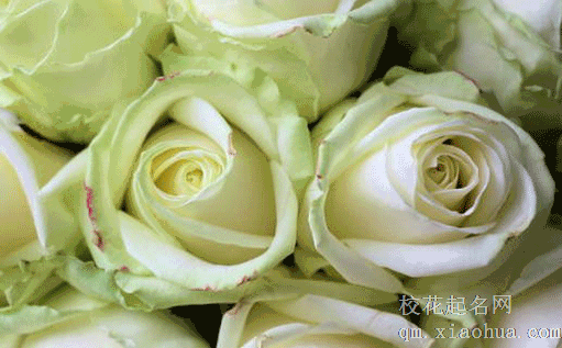 女方陪嫁必买三种东西 女孩出嫁娘家需要准备什么嫁妆