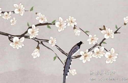 一梯两户门对门挂五帝钱怎么挂 财位挂五帝钱可催财