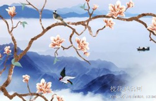 小区一梯两户门对门 一梯两户门对门谁家好