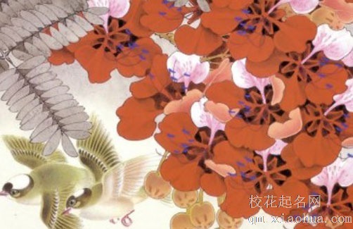 进门正对门放滴水观音好吗 客厅放滴水观音能招财