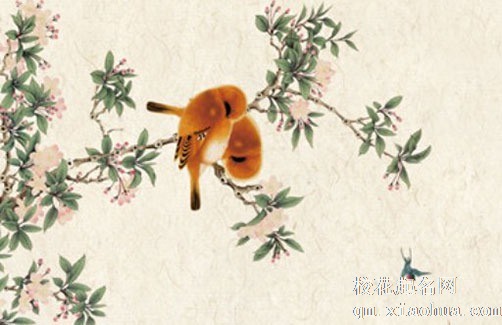 家里养滴水观音吉祥吗 室内可摆放滴水观音