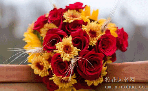 儿子婚礼父亲致辞简短大气 婚礼上母亲该说些什么