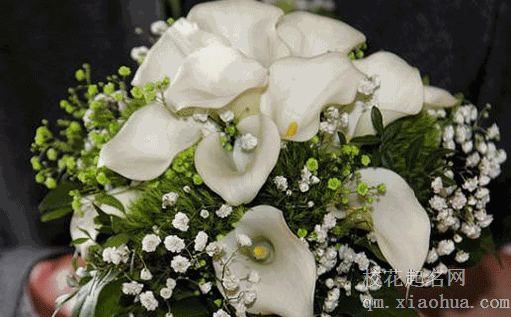 男方娶亲当天都带什么礼品 结婚手捧花少不了