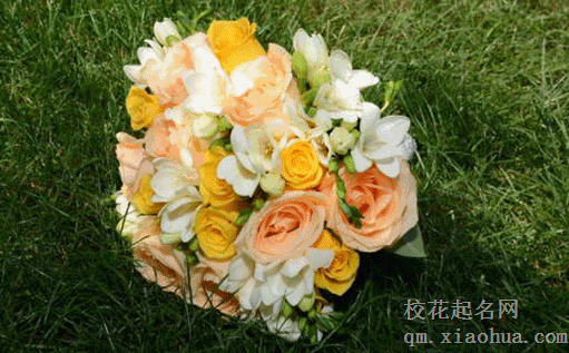 超全结婚准备清单及结婚流程 新娘出嫁的床上用品