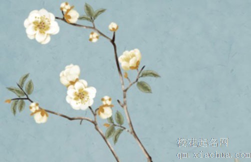 家里为什么不能供滴水观音菩萨 卧室放滴水观音招桃花